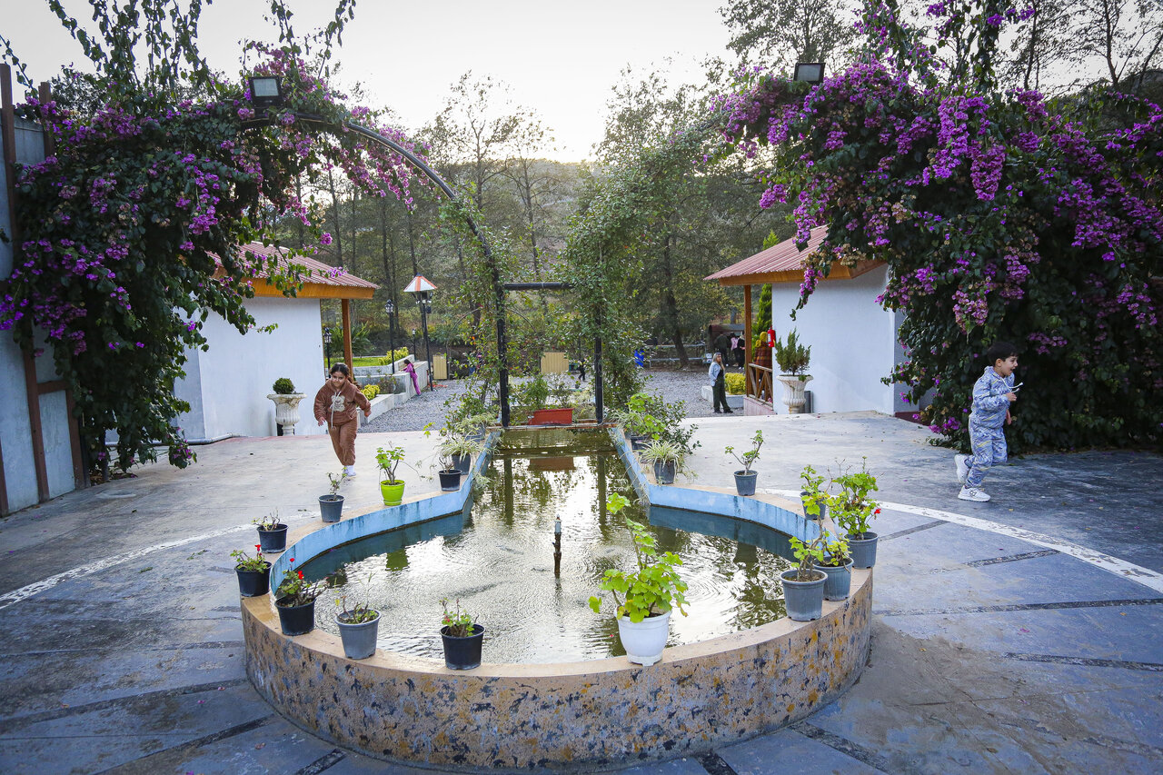 فراخوان تور دو روزه بازدید از منطقه شیرگاه(استان مازندران)